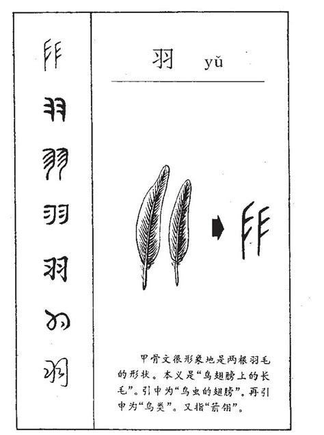 羽部的字|羽字旁的字